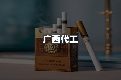 广西代工